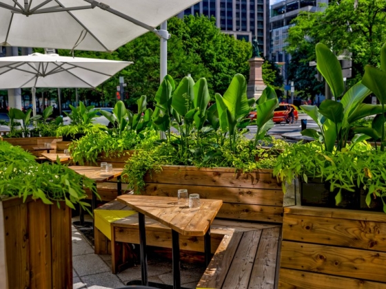 Top 10 des terrasses à Montréal