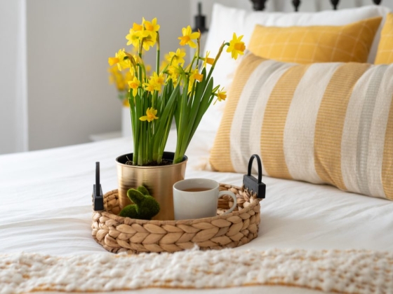 Top 10 des gîtes touristiques à Montréal (Bed and Breakfast)