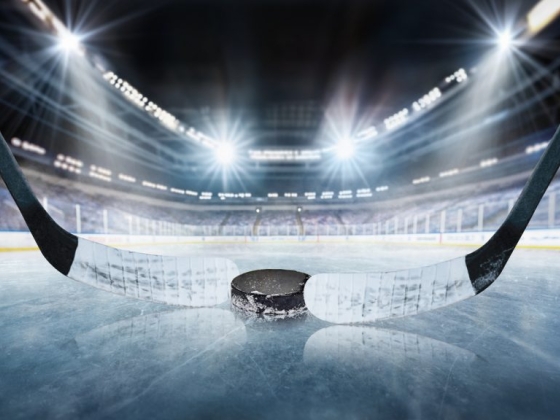 Les 10 meilleurs joueurs de hockey au monde