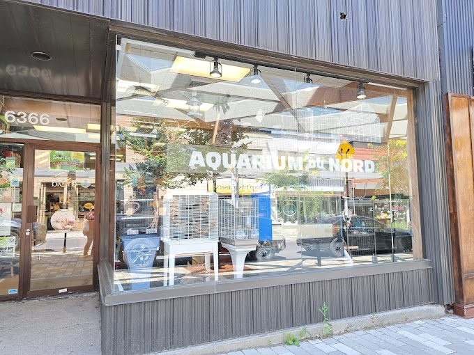 Aquarium Du Nord